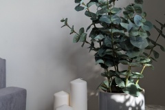 PXL_20241022_082853448.PORTRAIT